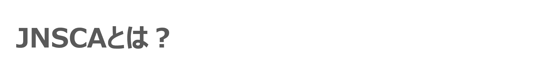 JNSCAとは？