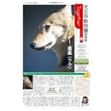 天王寺動物園情報紙 Together（トゥゲザー）