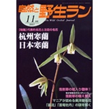 自然と野生ラン