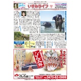 外房地域情報誌「いすみライフ」